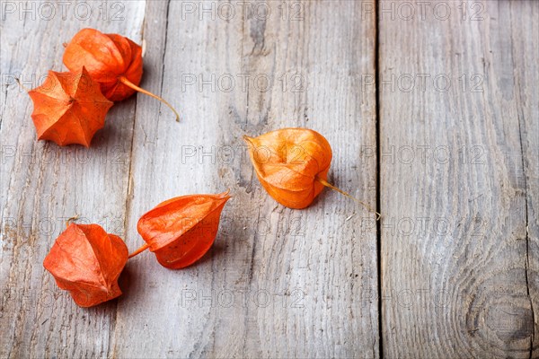 Red physalis on rustic wooden background with copy space