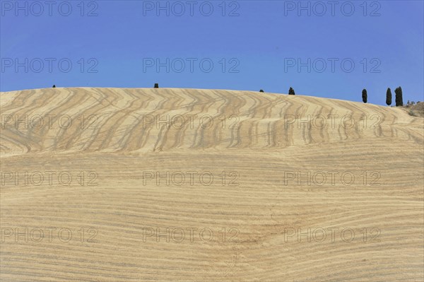 Harvested wheat field, landscape north of Sorano, Tuscany, Italy, Europe