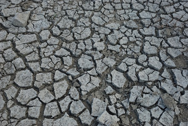 Close-up view of dry, cracked earth reminiscent of a drought-stricken area, Desiccated ground