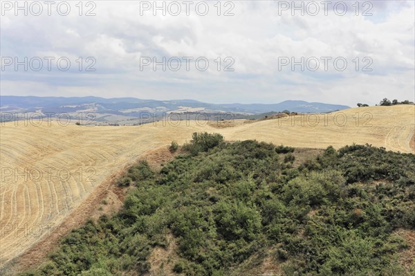 Harvested wheat field, landscape north of Sorano, Tuscany, Italy, Europe