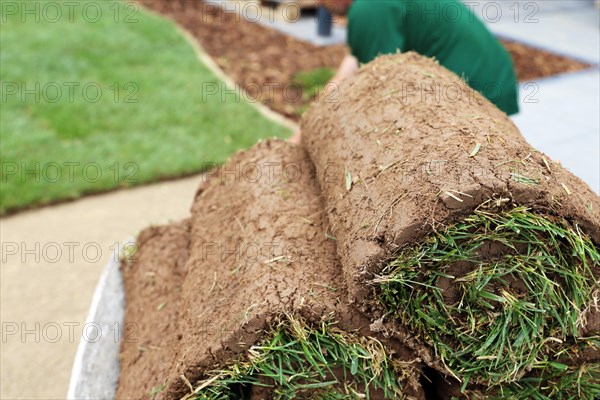 Gardener lays sod