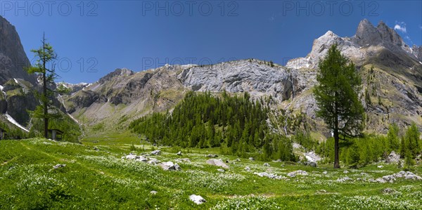 Panorama of a Valais mountain pasture, Alps, idyll, nature, mountain meadow, mountain romance, mountain panorama, alpine pasture, flower meadow, lovely, holiday, journey, hike, hiking, picturesque, beautiful, blue sky, summer, summer holiday, nobody, empty, Valais, Switzerland, Europe