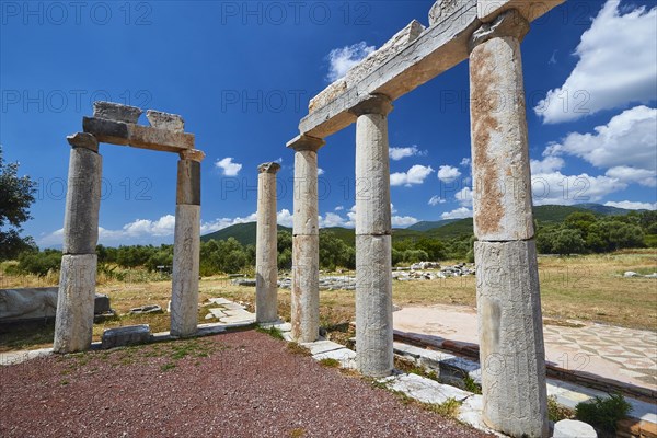 Historical column ruins in front of a sunny sky in Greece, Stoa of the Agora, Archaeological site, Ancient Messene, capital of Messinia, Messini, Peloponnese, Greece, Europe