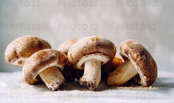 Fresh champignon mushrooms on a white background. Selective focus. AI generated