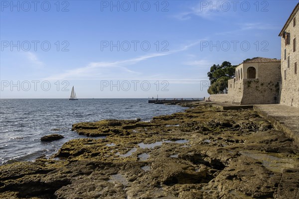 Southern city wall with loggia, Novigrad, Istria, Croatia, Europe