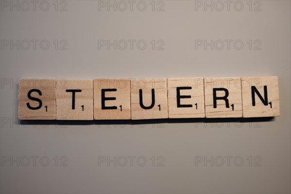 Taxes lettering, wooden letters, North Rhine-Westphalia, Germany, Europe