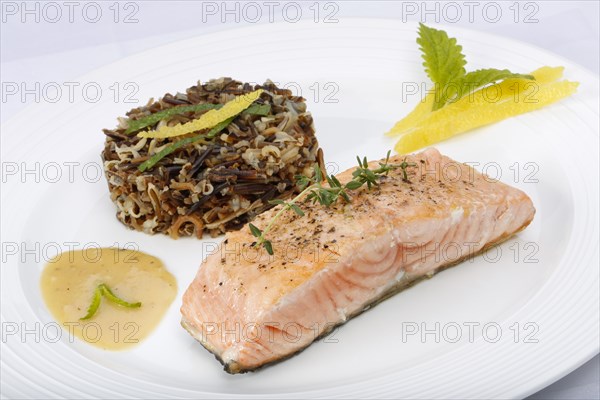 Southern German cuisine, fillet of Dreisam salmon with wild rice and lemon sauce, salmon fillet, healthy eating, decoration, lemon peel, herbs, lemon balm, food plate, appetising, food, studio, fish dish, cooking, Germany, Europe