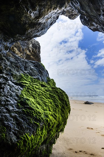 Rocky beach landscape, rocks, sea, Atlantic coast, rocky coast, beach, rock formation, cave, algae, green, natural landscape, travel, nature, Southern Europe, Carrapateira, Algarve, Portugal, Europe
