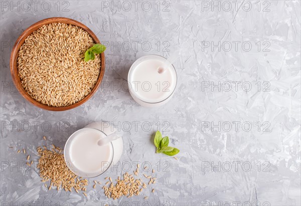 Organic non dairy oat milk in glass and wooden plate with oat seeds on a gray concrete background. Vegan healthy food concept, flat lay, top view, copy space