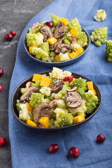 Vegetarian salad from romanesco cabbage, champignons, cranberry, avocado and pumpkin on a black concrete background and blue textile. side view, close up