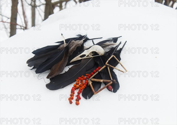 Crow feathers, bird skull and rowan beads in the snow. Still life. Pagan, witchcraft symbols