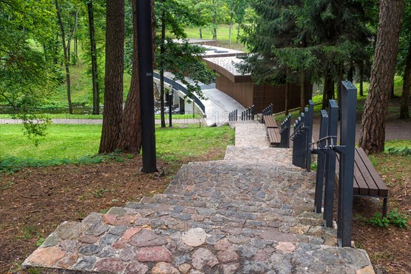 A forest park with large trees and creative benches and arches. Druskinikai, Lithuania, Europe