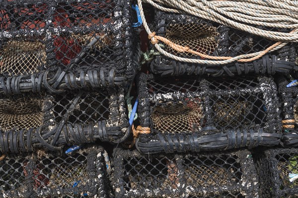 Fishing traps in the harbour of Hvide Sande, Hvide Sande, Region Midtjylland, Denmark, Europe