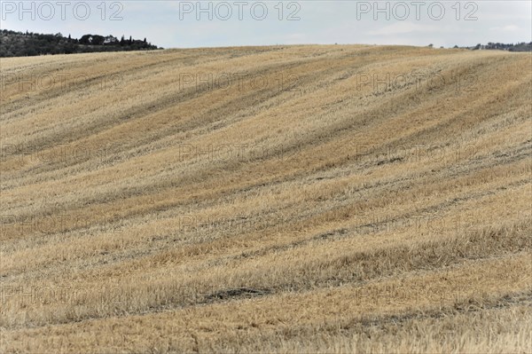 Harvested fields south of Siena, Crete Senesi, Tuscany, Italy, Europe