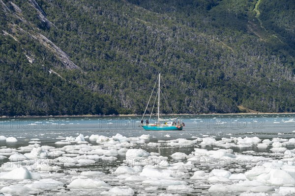 Sailing yacht between ice floes in Pia Bay in front of Pia Glacier, Alberto de Agostini National Park, Avenue of the Glaciers, Chilean Arctic, Patagonia, Chile, South America