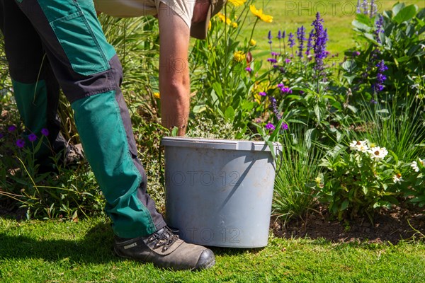 Landscape gardener gardening in the flower bed