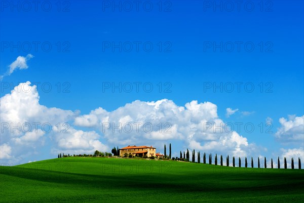 Farmhouse Val d'Orcia near Montalcino and cypresses panoramic, Tuscany, Italy, Europe