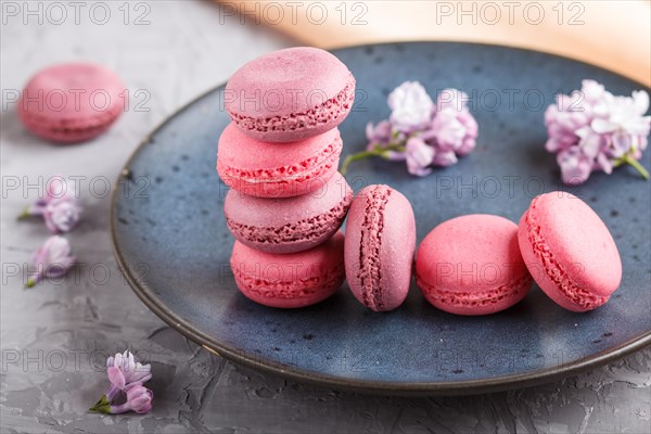 Purple and pink macaron or macaroon cakes with lilac flowers on blue ceramic plate on a gray concrete background. side view, close up