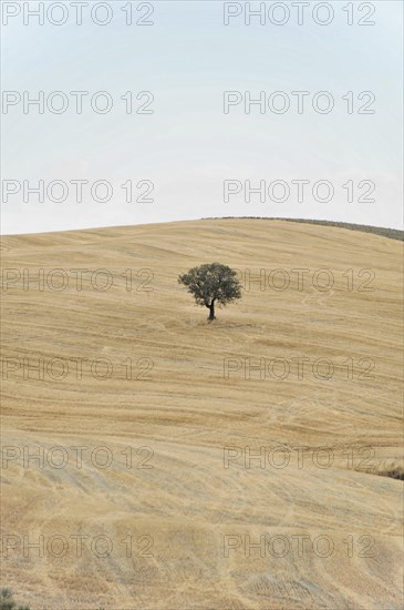 Harvested fields south of Siena, Crete Senesi, Tuscany, Italy, Europe