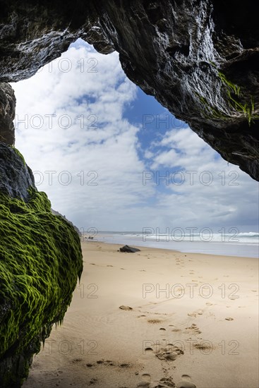 Rocky beach landscape, rocks, sea, Atlantic coast, rocky coast, beach, rock formation, cave, algae, green, natural landscape, travel, nature, Southern Europe, Carrapateira, Algarve, Portugal, Europe