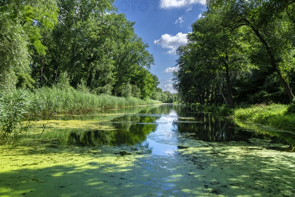 Landscape and nature around Berlin, Germany, Europe