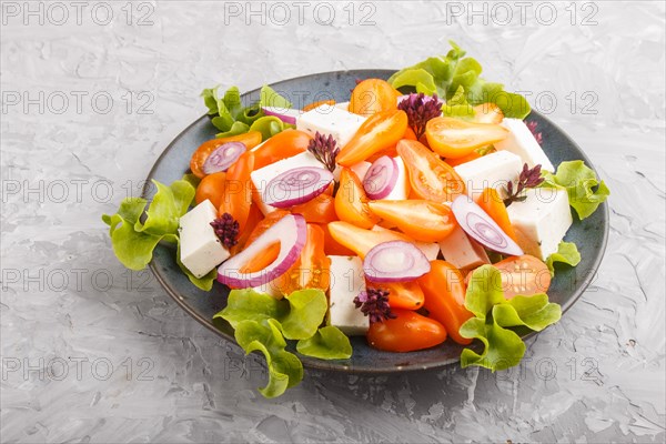 Vegetarian salad with fresh grape tomatoes, feta cheese, lettuce and onion on blue ceramic plate on gray concrete background, side view, close up