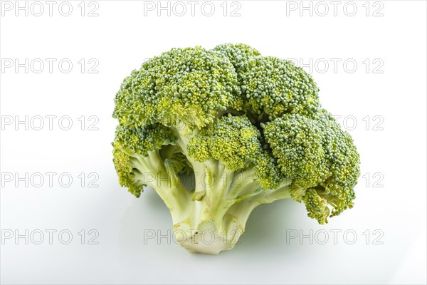 Fresh green broccoli isolated on white background, side view, close up