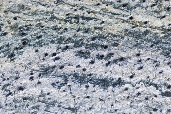 The texture of natural stone, sandstone, limestone, granite