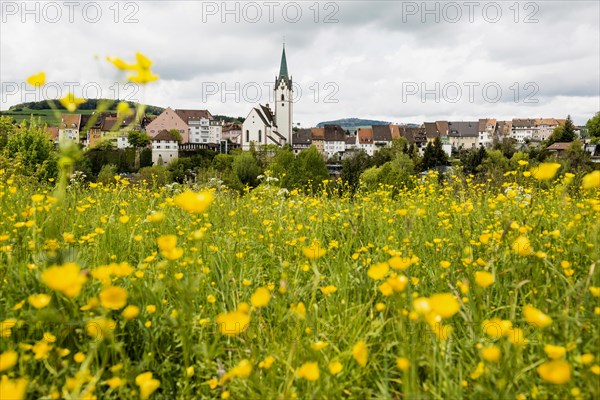 Historic old town, Engen, Hegau, Constance district, Lake Constance, Baden-Wuerttemberg, Germany, Europe