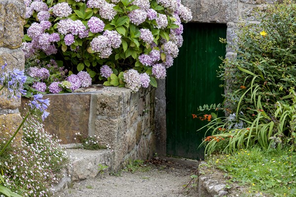 Old wooden door surrounded by flowers, Ile de Brehat, Departement Cotes-d'Armor, Brittany, France, Europe