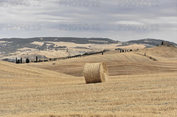 Harvested fields south of Siena, Crete Senesi, Tuscany, Italy, Europe