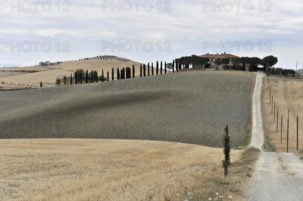 Harvested fields south of Siena, Crete Senesi, Tuscany, Italy, Europe