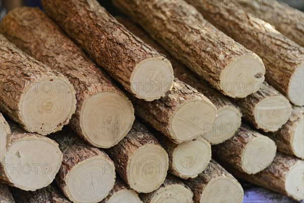 Pile of wood on the Irrawaddy, also known as Ayeyarwady, river between Mandalay and Bagan, Myanmar, Asia