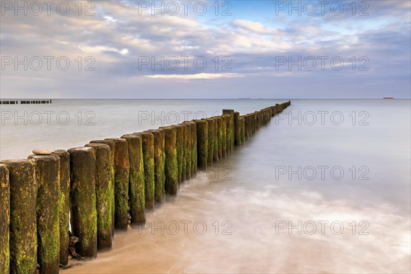 Groynes covered with green algae in the soft light of the morning on the Baltic Sea as a long exposure