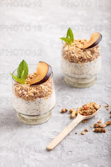 Yoghurt with plum, chia seeds and granola in a glass and wooden spoon on gray concrete background. side view, close up