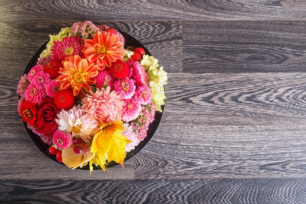 Floral arrangement of autumn flowers on a plate. dahlia, zinnia, rose, orchid, maple leaves. copy space