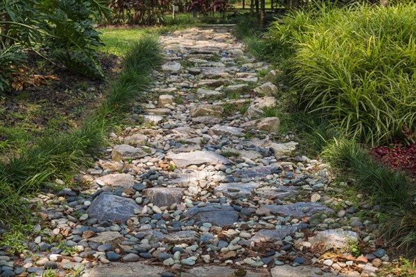 The track of natural stone in the shady garden