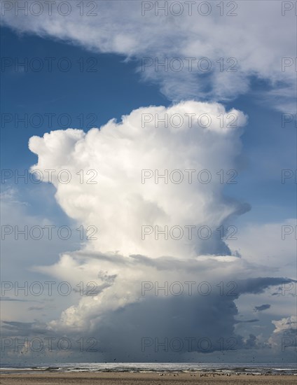 Rain cloud (Cumulonimbus capillatus) with heavy rain shower on the North Sea beach, Henne Molle, Henne, Region Syddanmark, Denmark, Europe