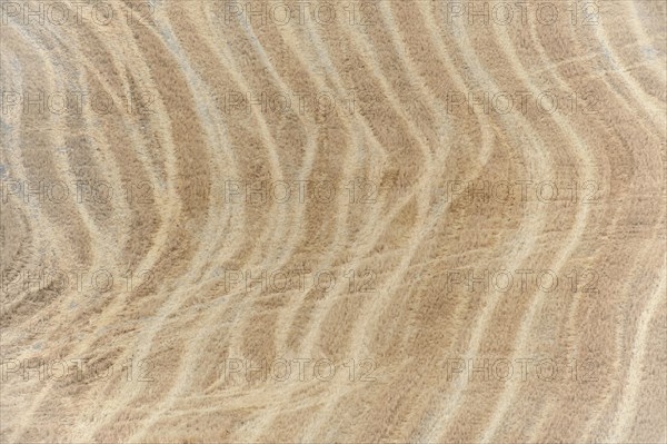 Harvested fields south of Siena, Crete Senesi, Tuscany, Italy, Europe