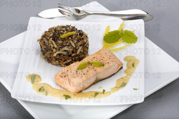 Southern German cuisine, fillet of Dreisam salmon with wild rice and lemon sauce, salmon fillet, healthy eating, decoration, lemon peel, herbs, lemon balm, food plate, fish cutlery, appetising, food, studio, fish dish, cooking, Germany, Europe