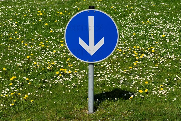 Sign points down Munich, Upper Bavaria, Germany, Europe