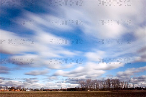 Landscape with field and bleak small wood and white clouds blurred, drifting, Munich, Bavaria, Germany, Europe