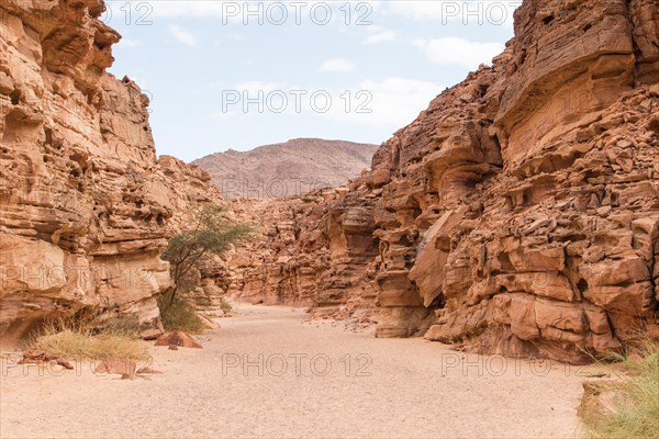 Colored canyon with red rocks. Egypt, desert, the Sinai Peninsula, Nuweiba, Dahab