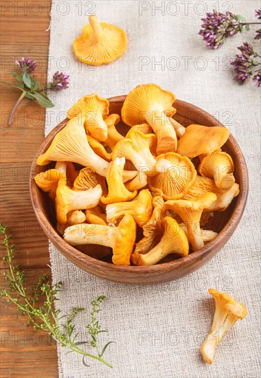 Chanterelle mushrooms in wooden bowl and spice herbs on wooden background with linen textile. side view, close up