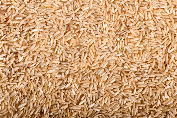 Texture of brown rice. Top view
