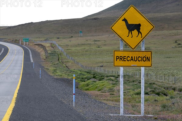 Guanaco (Llama guanicoe), Huanako, traffic sign, warning, road, Torres del Paine National Park, Patagonia, end of the world, Chile, South America