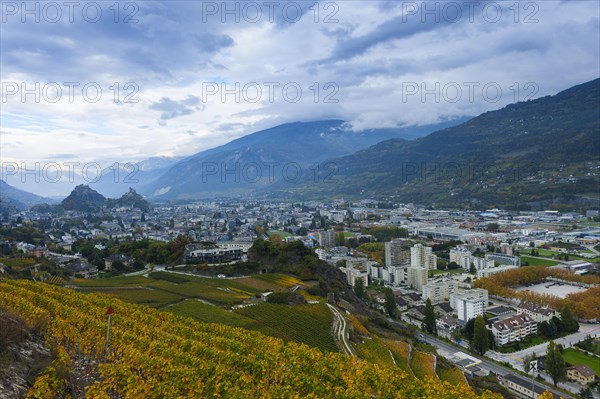 Sion in the Rhone Valley, Alps, valley, travel, city, tourism, holiday, wine, vine, viticulture, Valais, Switzerland, Europe