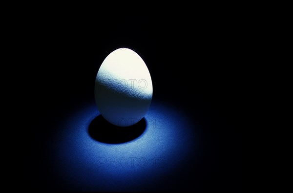 Closeup of one single henÂ´s egg, chicken egg