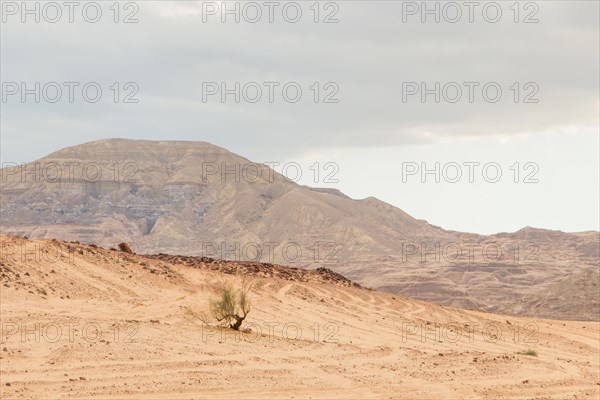 Desert, red mountains, rocks and cloudy sky. Egypt, color canyon, the Sinai Peninsula, Dahab