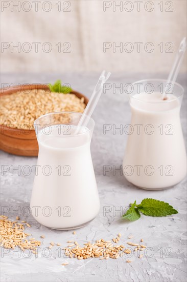 Organic non dairy oats chocolate milk in glass and wooden plate with oats seeds on a black concrete background. Vegan healthy food concept, close up, side view